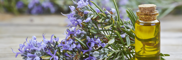 Les huiles essentielles sont des merveilles offertes par la nature. Profitons-en !