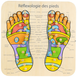 Reflexologie plantaire parties du corps et organes