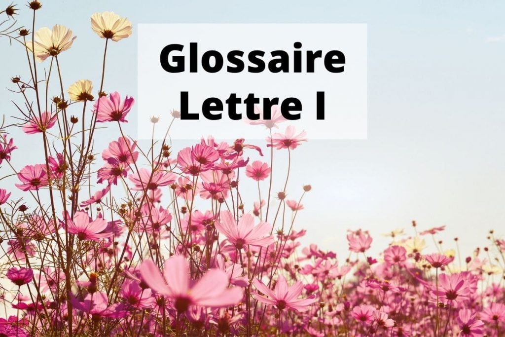 Glossaire Sante et Beauté Lettre I