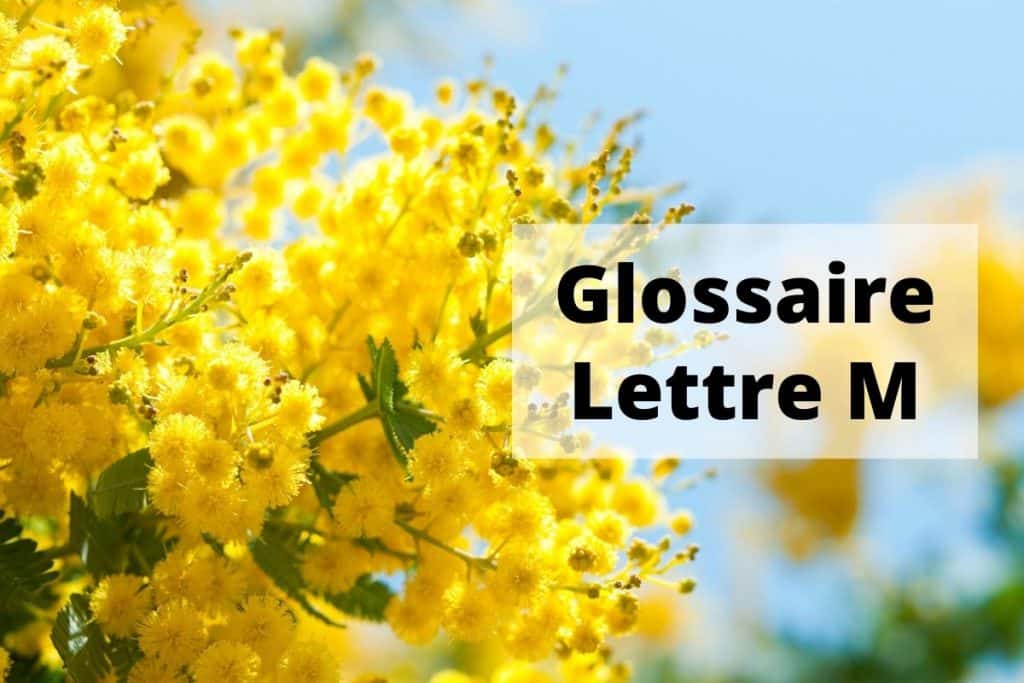 Glossaire Sante et Beauté Lettre M