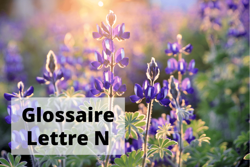 Glossaire Lettre N sante-et-beaute.fr