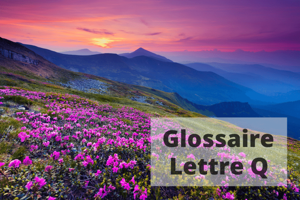 Glossaire Lettre Q Sante-et-beaute.fr