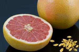 Grapex Extrait de pépins de pamplemousse Complément alimentaire