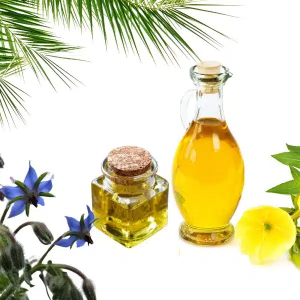 Huile d’onagre et de bourrache alliées beauté et bien-être féminin Huile d’onagre et de bourrache alliées beauté et bien-être féminin