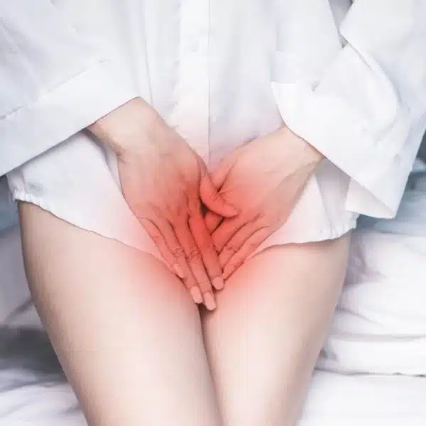 Cystite ou infection urinaire, bienfaits de la canneberge ou cranberry