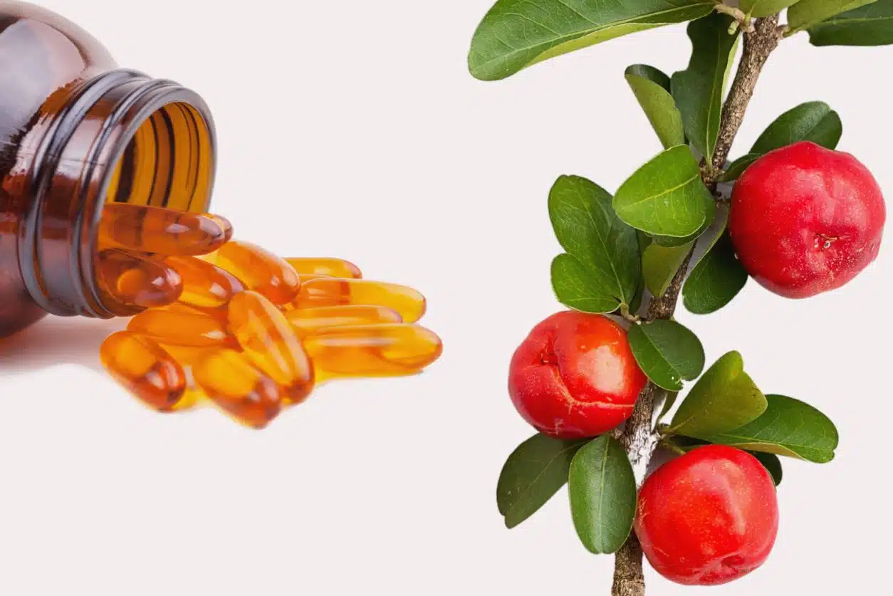 Acérola bio en complément alimentaire Acérola bio en complément alimentaire pour réduire la fatigue et renforcer le système immunitaire