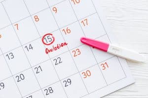 Test d'ovulation augmentez vos chances d'avoir un enfant