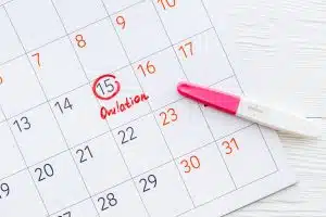 Test d'ovulation augmentez vos chances d'avoir un enfant