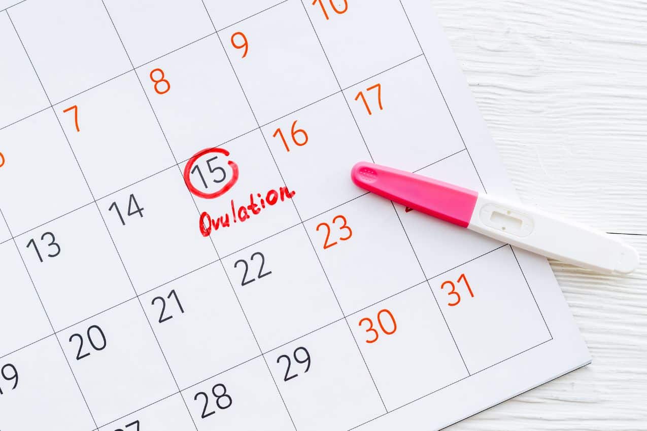 You are currently viewing Test d’ovulation : augmentez vos chances d’avoir un enfant