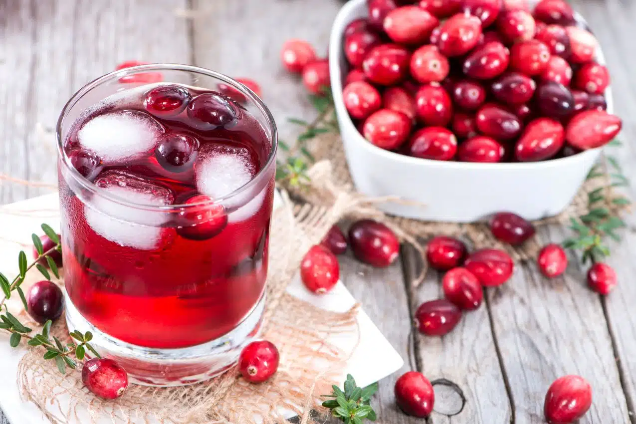 Jus de canneberge bio dans un verre avec des canneberges fraîches