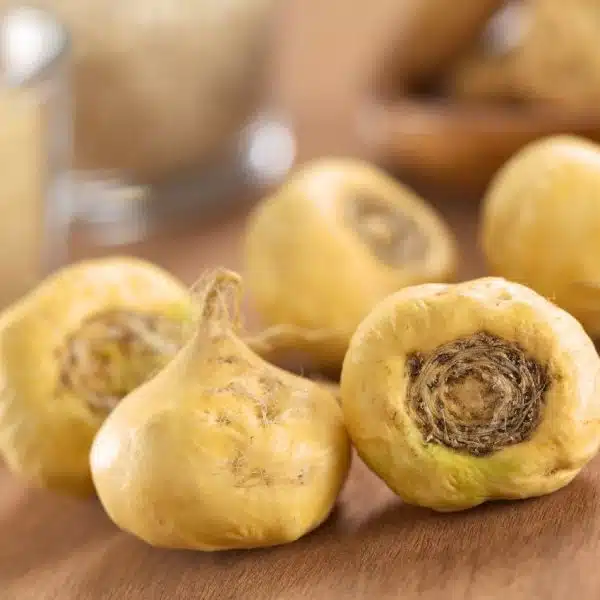 Le maca et ses vertus : énergie, vitalité et équilibre racine du Maca Le maca et ses vertus : énergie, vitalité et équilibre