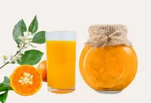 orange amère, confiture d'oranges amères, recette confiture orange amère grand-mère, confiture aux orange amères, orange amer