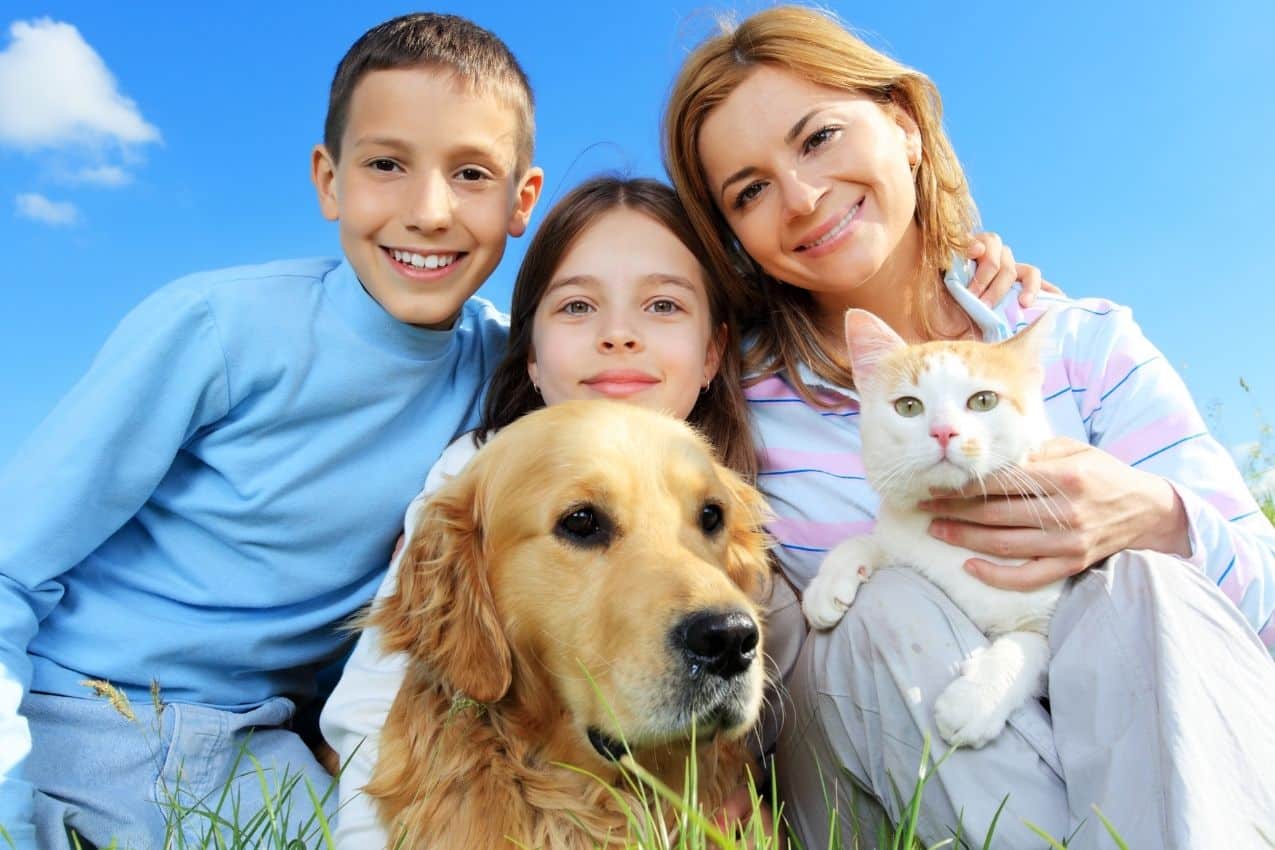 You are currently viewing 7 bonnes raisons de prendre une assurance santé chien et chat 