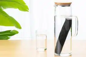 Binchotan, charbon actif japon, charbon végétal binchotan avis scientifique,