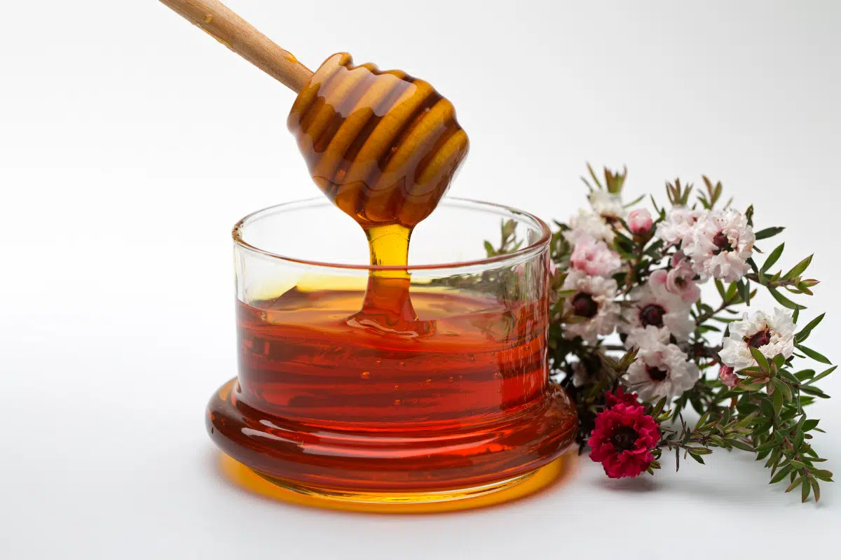 Miel de manuka vertus santé et beauté, taux MGO, miel de manuka manuka MGO miel de manuka bienfaits miel de manuka propriétés miel de manuka utilisation miel de manuka peau miel de manuka s
