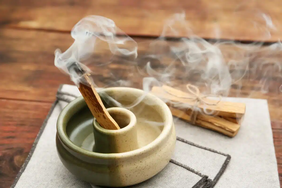 Palo santo : comment ce bois sacré transforme votre quotidien, votre maison, ses vertus et bienfaits