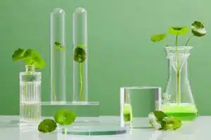 Les bienfaits de la centella asiatica pour réparer et sublimer la peau