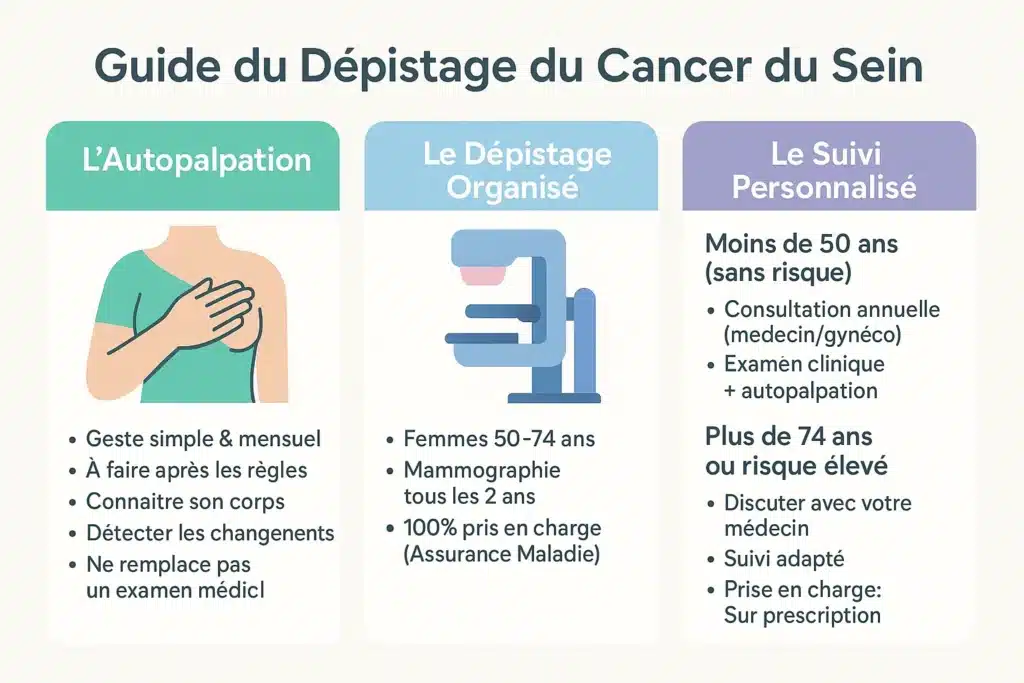 Guide du dépistage du cancer du sein avec autopalpation, dépistage organisé et suivi personnalisé