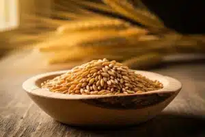 Grains d'épeautre dans un bol en bois avec des épis de céréales, illustration des bienfaits nutritionnels de l'épeautre