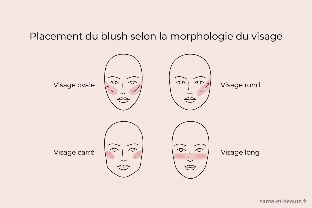 Placement du blush selon la morphologie du visage infographie zones de pose du blush liquide selon la morphologie du visage